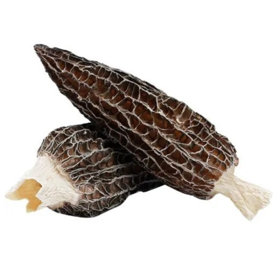 Dried Morel Mushroom
