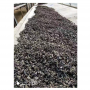 Good price organic dried Black Fungus agriculture agaric mushroom