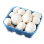 Fresh Champignon White Button Mushroom
