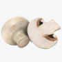 Fresh Champignon White Button Mushroom